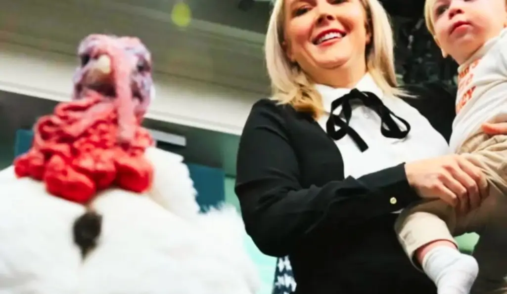 Bets on whether he announces the “operation” is done in 2 weeks or we have a ground invasion coming?